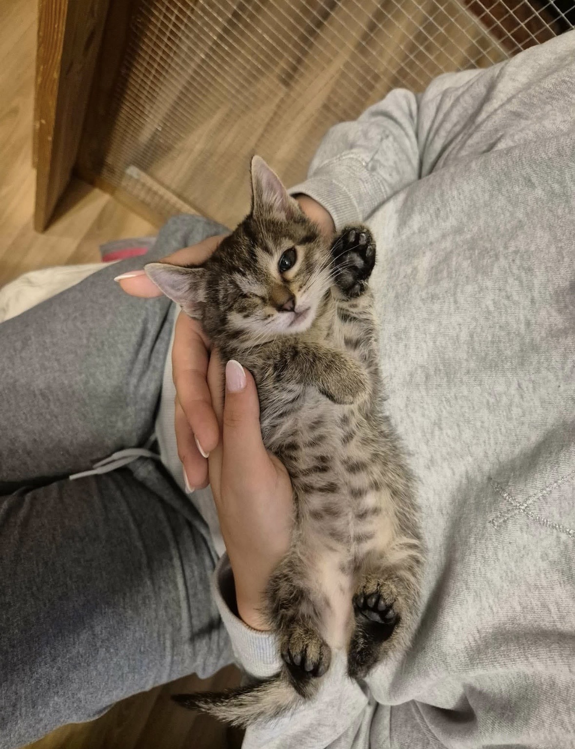 Mia