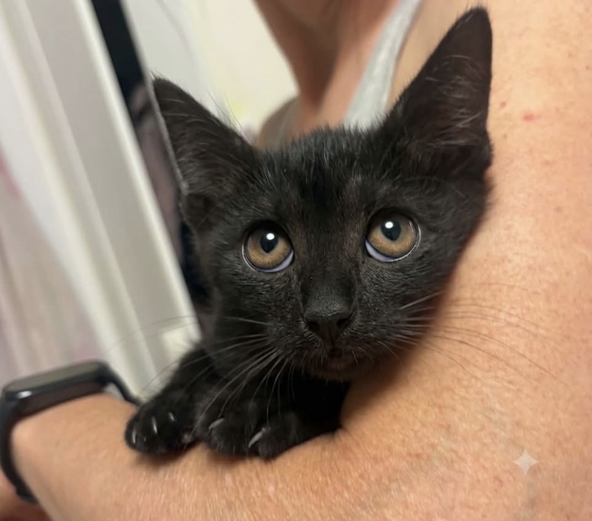 Coco