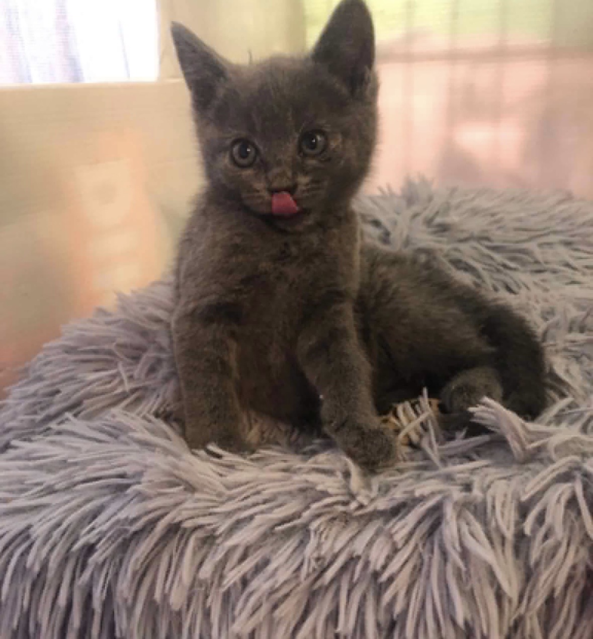 Luna