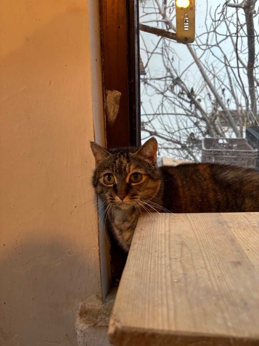 Szemi - 3. miniatűr