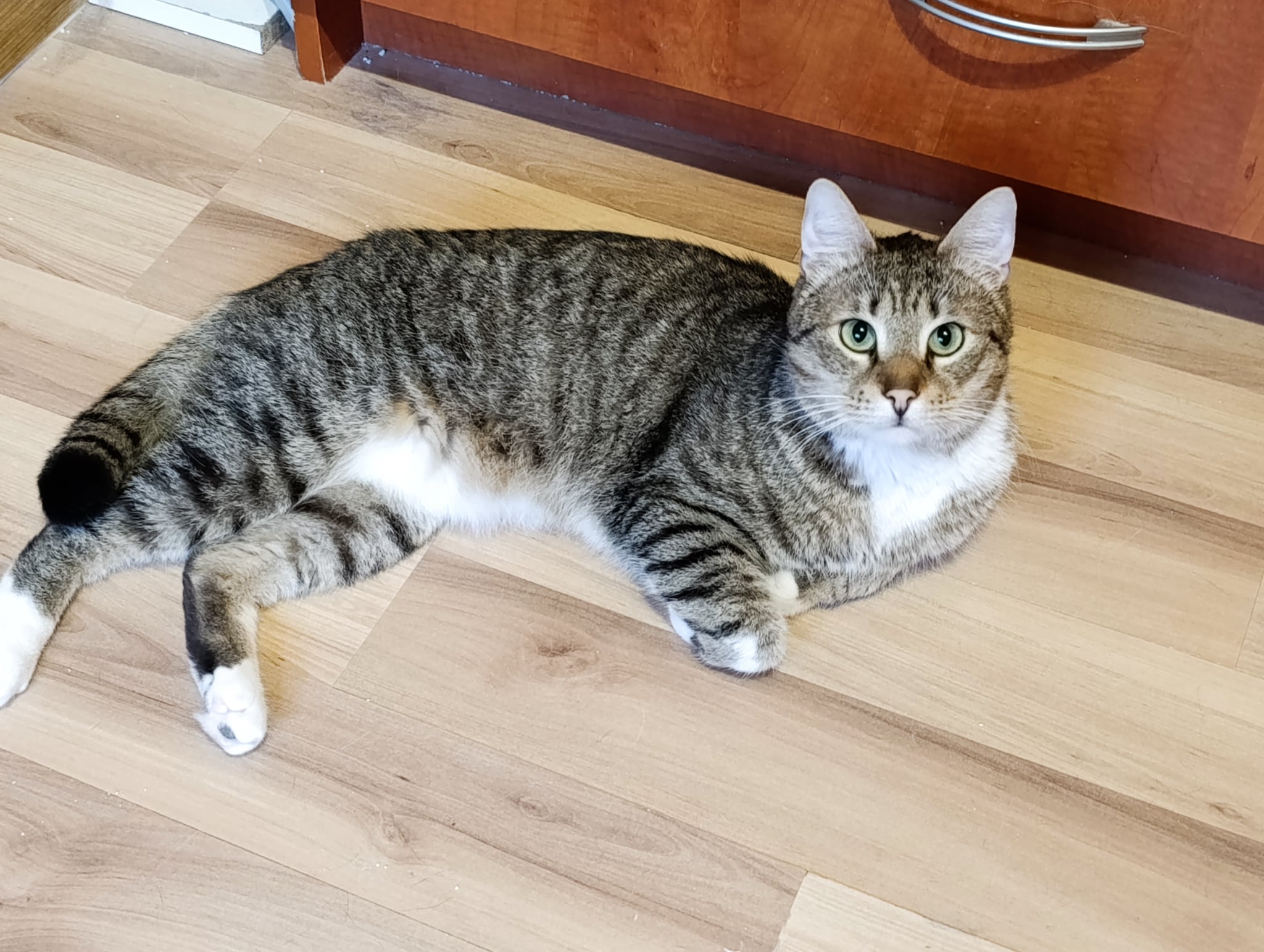 Armani - 4. miniatűr